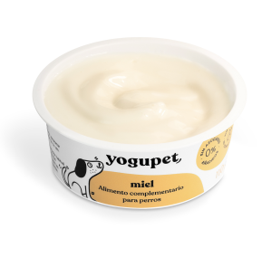 Класически йогурт - мед