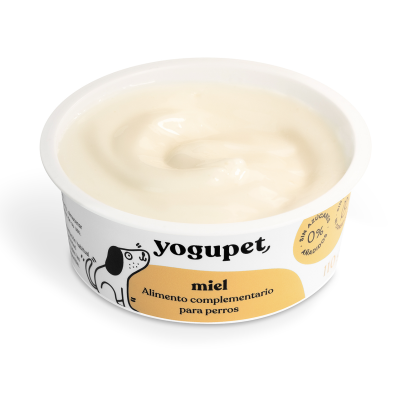 Класически йогурт - мед