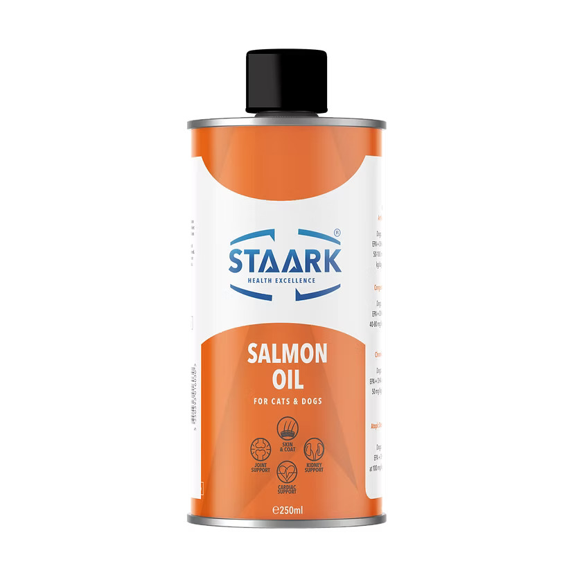 4fc2e0_dec30e072d094dd99843d30dbad77c13~mv2 (1)