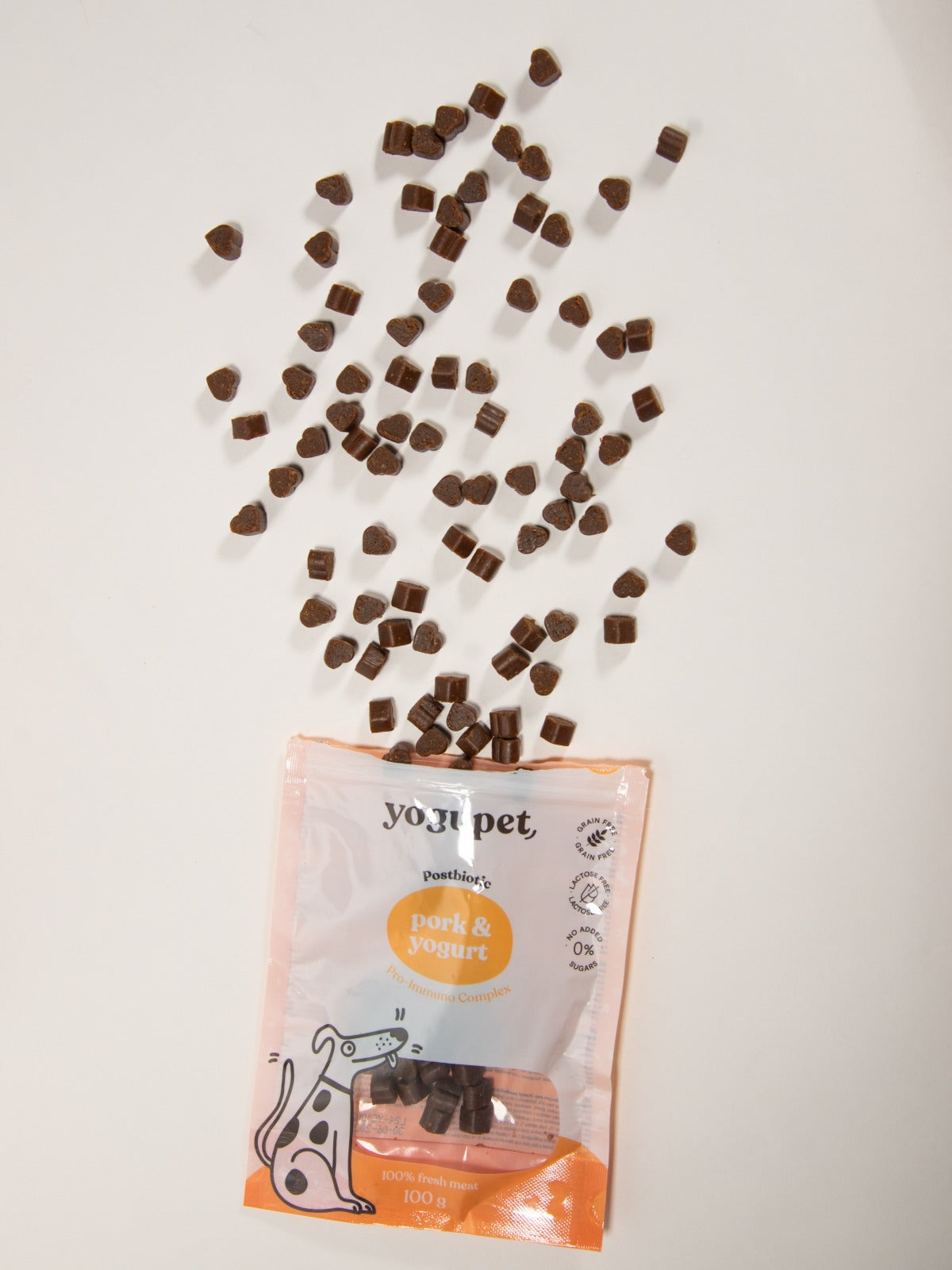 PHOTO-2024-12-16-16-26-30-3