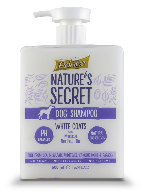 PRINCE_NATURE_SSECRET_SHAMPOO_WHITECOATS_500ML_PNSD5-1