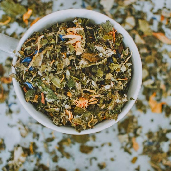 ecopets-parazitplusodcerveni-pro-psy-1