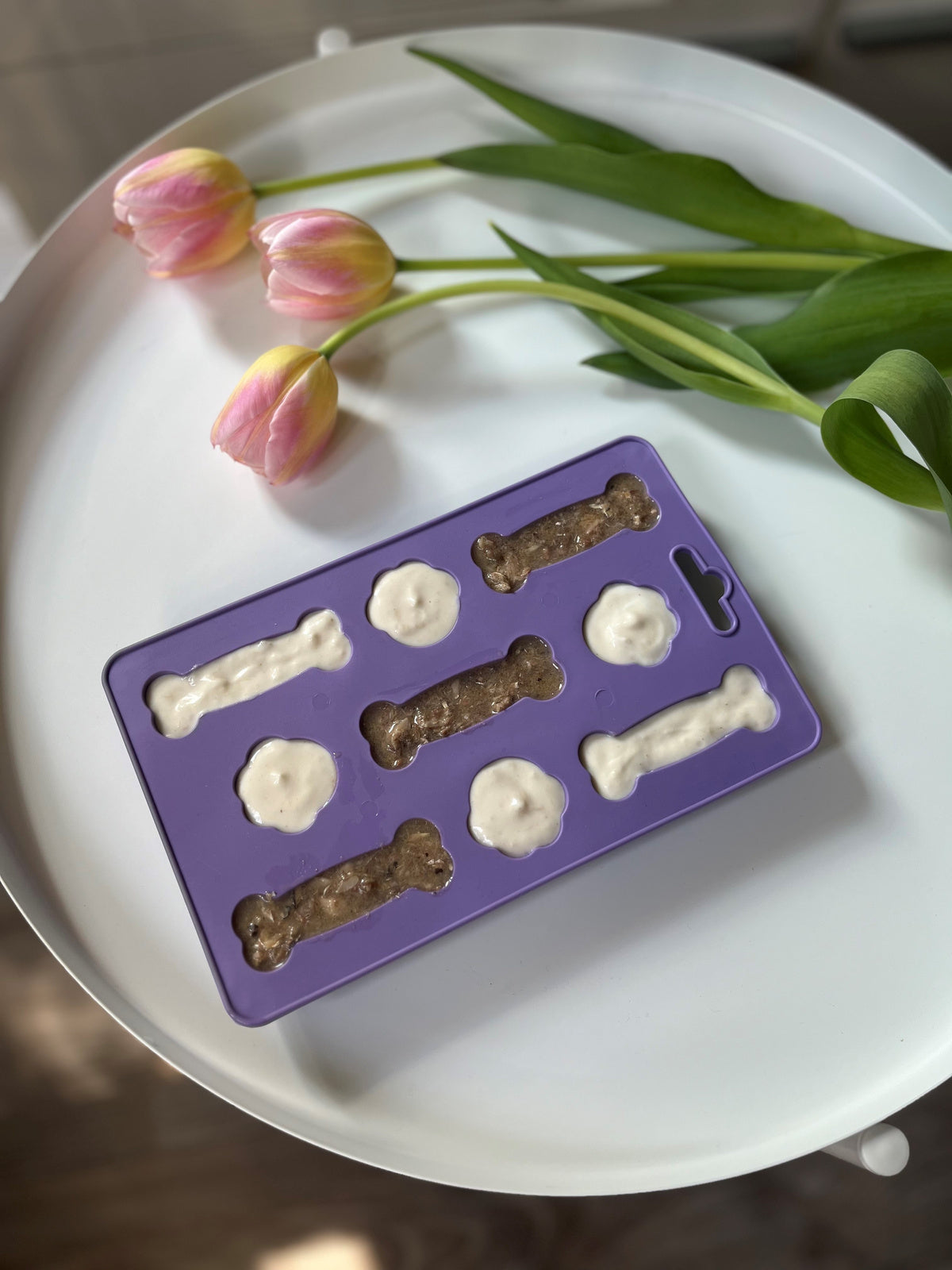 eng_pl_ICEBOO-dog-ice-cream-tray-892_1-1