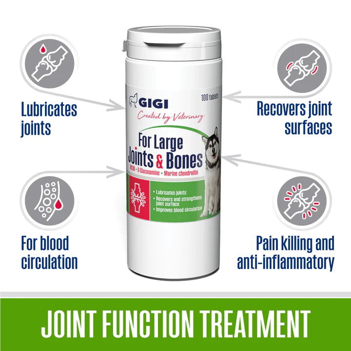 gigivet-strong-joints-and-bones-vitamin_720x_1d290d6f-823d-41fa-a1c8-771e6eec3d16-1