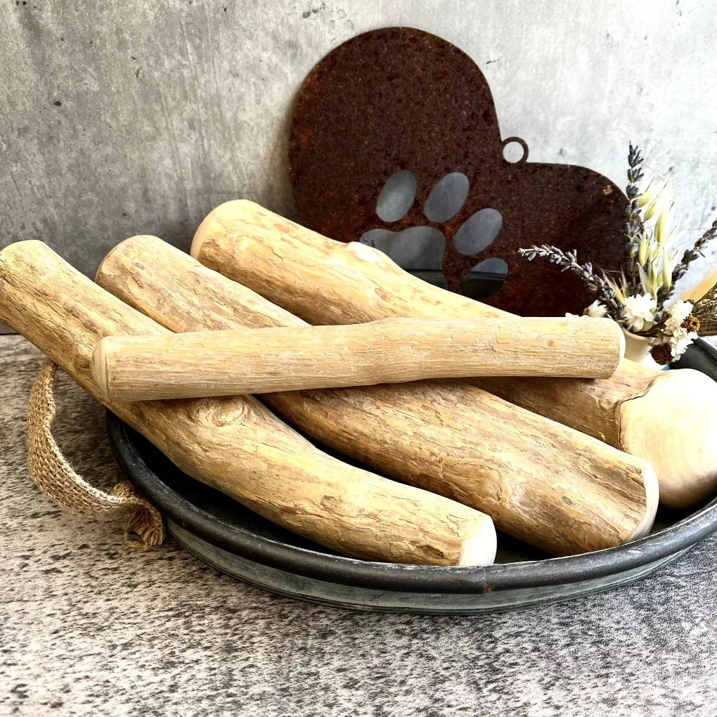 kaffeebaumknochen-s-1